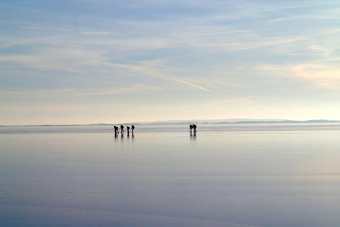 A Day on the Ice in Stockholm - The Morning Ride: Learning While You Move