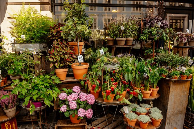 Private 90-Minute Walking Tour in Stockholm - Why a 90-minute private walk is a smart way to start Stockholm