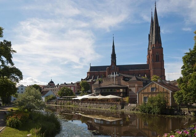 Private Day Tour to Uppsala - Uppsala Cathedral, Viking Burials and countryside - Key highlights in plain terms