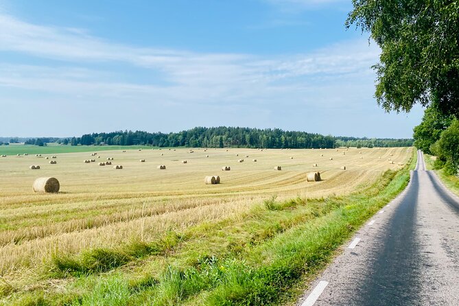 Private Roadbike Adventure in Stockholm - Admission Ticket Free: What That Means for Your Wallet