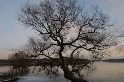 Private Sigtuna Tour from Stockholm - Oldest Town of Sweden - Getting There From Stockholm: A/C Comfort and Fewer Headaches