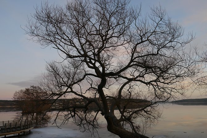 Private Sigtuna Tour from Stockholm - Oldest Town of Sweden - Getting There From Stockholm: A/C Comfort and Fewer Headaches