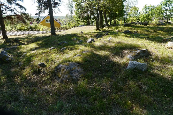 Private Tour: 3h Viking History from Stockholm to Runic Kingdom - Guide Skill: Why Private Q&A Makes the Stones Come Alive