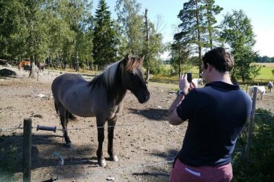 Private Tour: Swedish History Day Trip to World Heritage Candidate Markim-Orkesta from Stockholm - Private guide, pickup range, and how the day stays low-stress