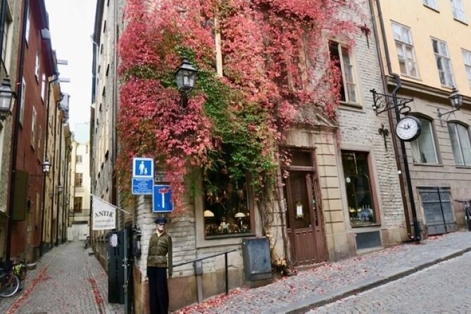 Stockholm Private Group Walking Tour | 3 Hours - Weather and Footing: What to Wear for a 3-Hour Walk